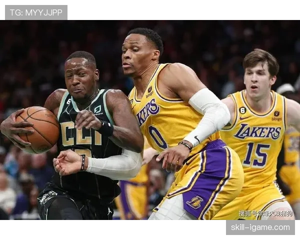 维特斯阵容深度显著增强，新赛季表现备受期待