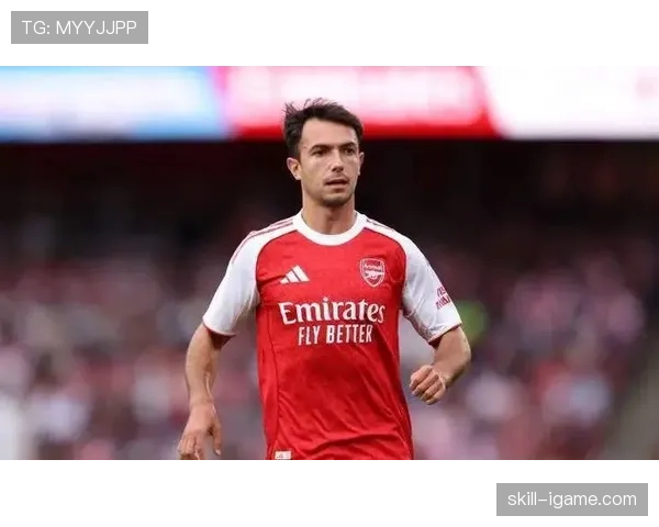 祖比门迪 vs 托纳利：新星中场的战术角色与比赛影响力对比